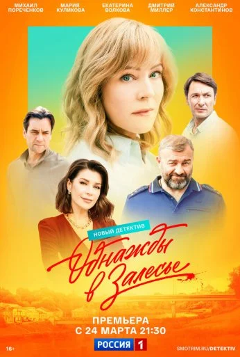 Однажды в Залесье (2024)